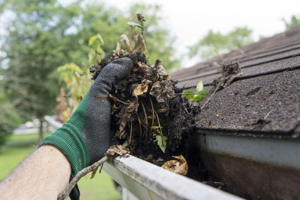 Cleaning Gutters from Leaves
